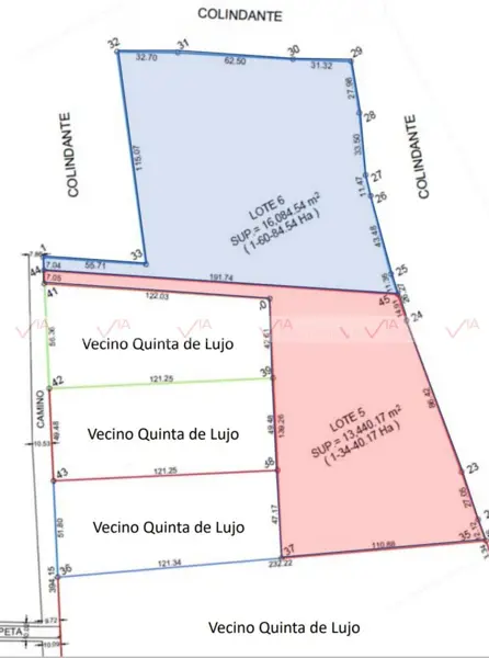 Terreno en venta en Congregación Calles, Montemorelos — foto 2 de 9