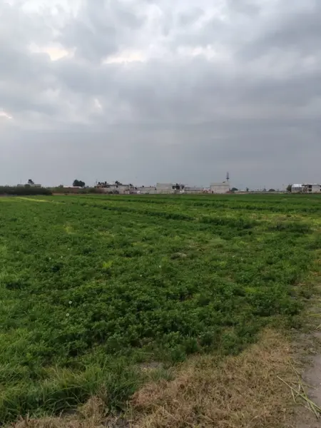 Terreno residencial en venta en San Pedro Atzompa, Tecámac