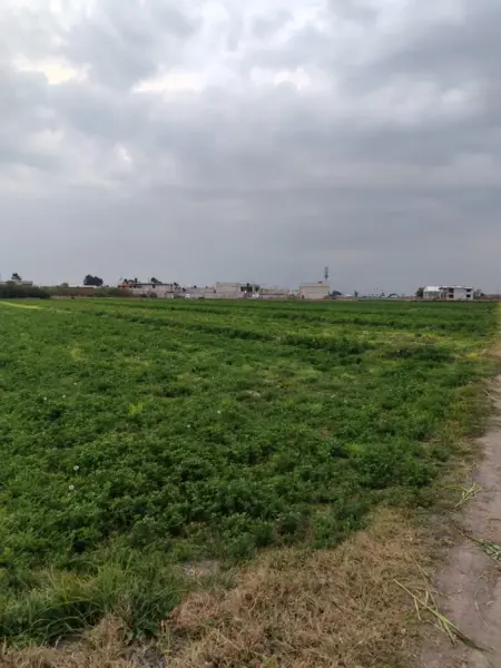 Terreno en venta en Ojo de Agua, Tecámac — foto 2 de 4