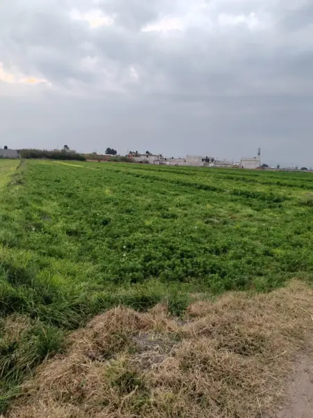 Terreno en venta en Ojo de Agua, Tecámac — foto 3 de 4