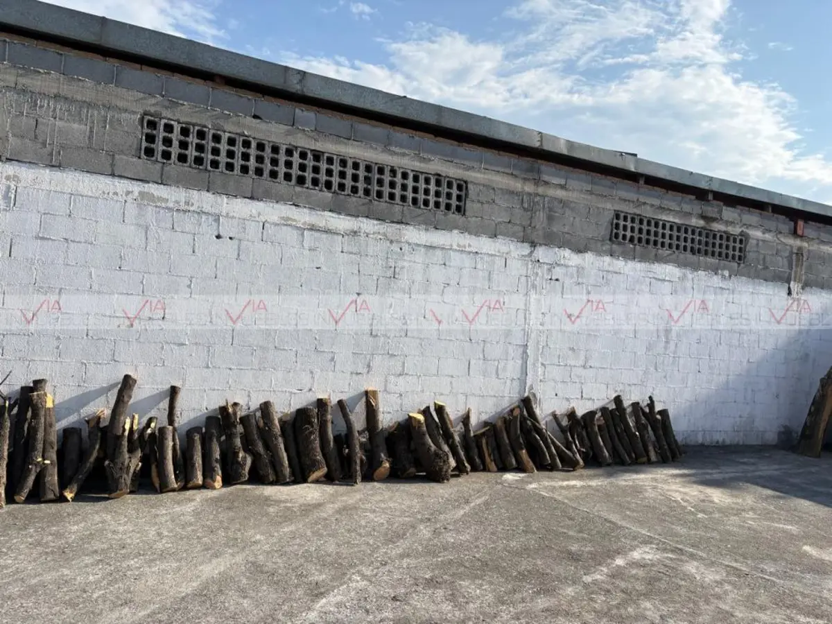 Terreno en venta en Buenos Aires, Monterrey — foto 1 de 14