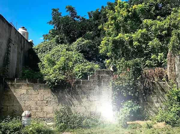 Terreno en venta en Los Sauces, Veracruz — foto 2 de 3