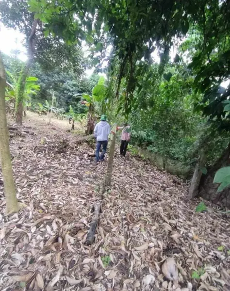 Terreno en venta en Caristay, Papantla — foto 2 de 5