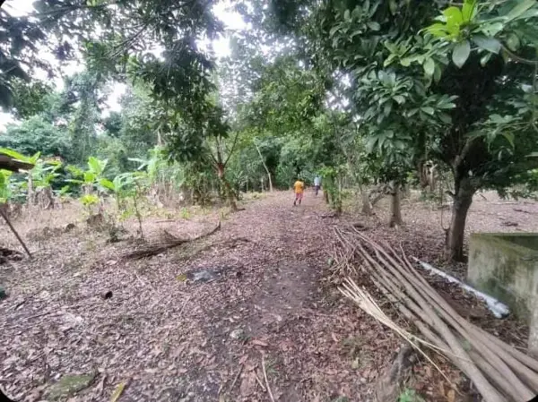 Terreno Comercial en Venta en Papantla, Veracruz - Ideal para Actividades Productivas