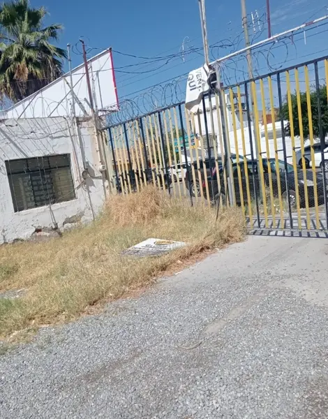 Terreno en renta en Torreon Centro, Torreón — foto 3 de 4