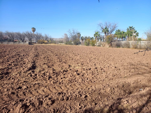 Terreno en venta en Ciudad Juárez, Lerdo — foto 3 de 8