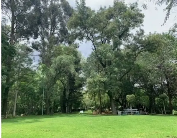Precioso departamento
Fuentes del pedregal
Tlalpan Precioso departamento
Fuentes del pedregal
Tlalpan