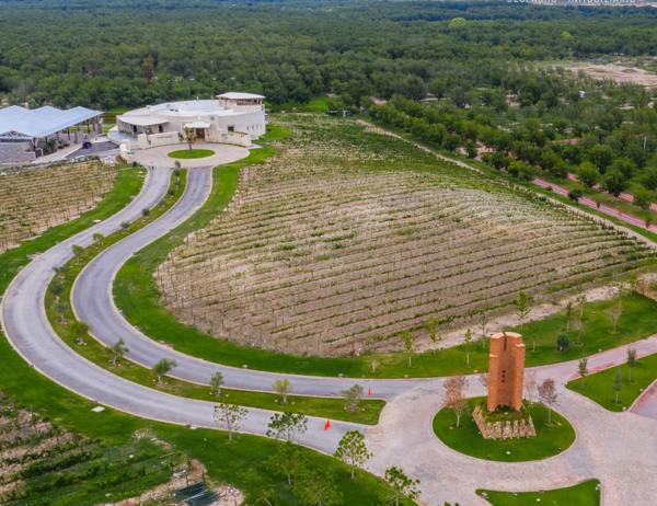 Terreno en venta en Parras, Parras — foto 2 de 7