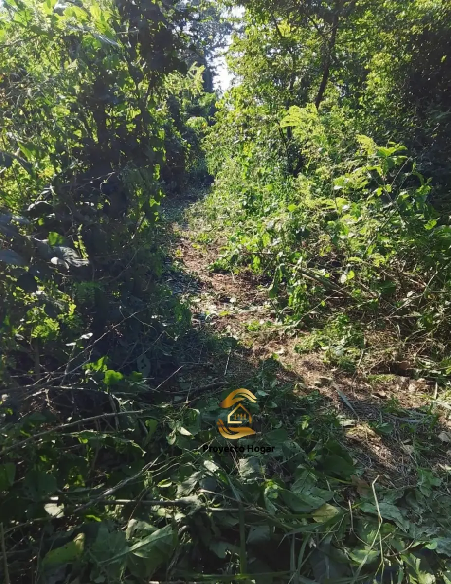 Vista 2 de TERRENO CAMPESTRE EN VENTA EN VILLA DE ALVAREZ, COLIMA