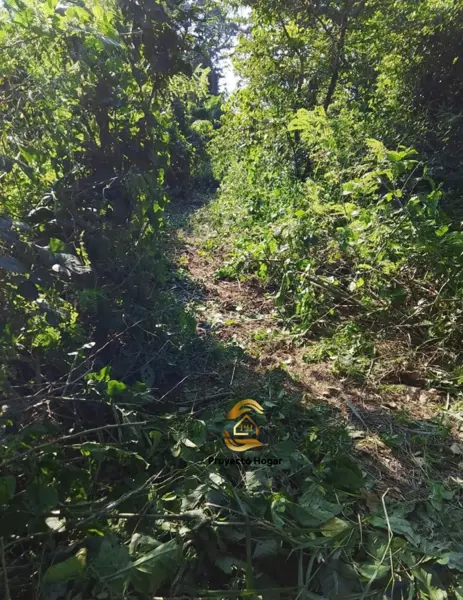 Terreno en venta en El Chivato (Providencia), Villa de Álvarez — foto 2 de 9