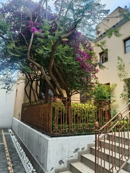 Departamento en venta en Santa Maria la Ribera, Cuauhtémoc — foto 2 de 28