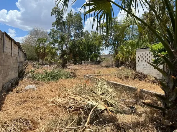 Terreno en venta en Merida Centro, Mérida — foto 3 de 8