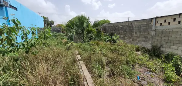 Terreno en venta en Merida Centro, Mérida — foto 2 de 8