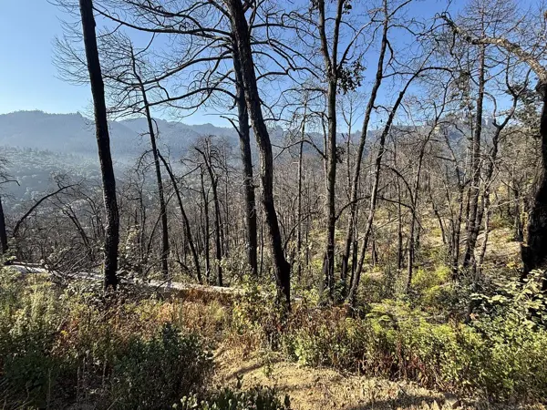 Terreno en venta en La Sierra, Mineral del Chico — foto 3 de 9