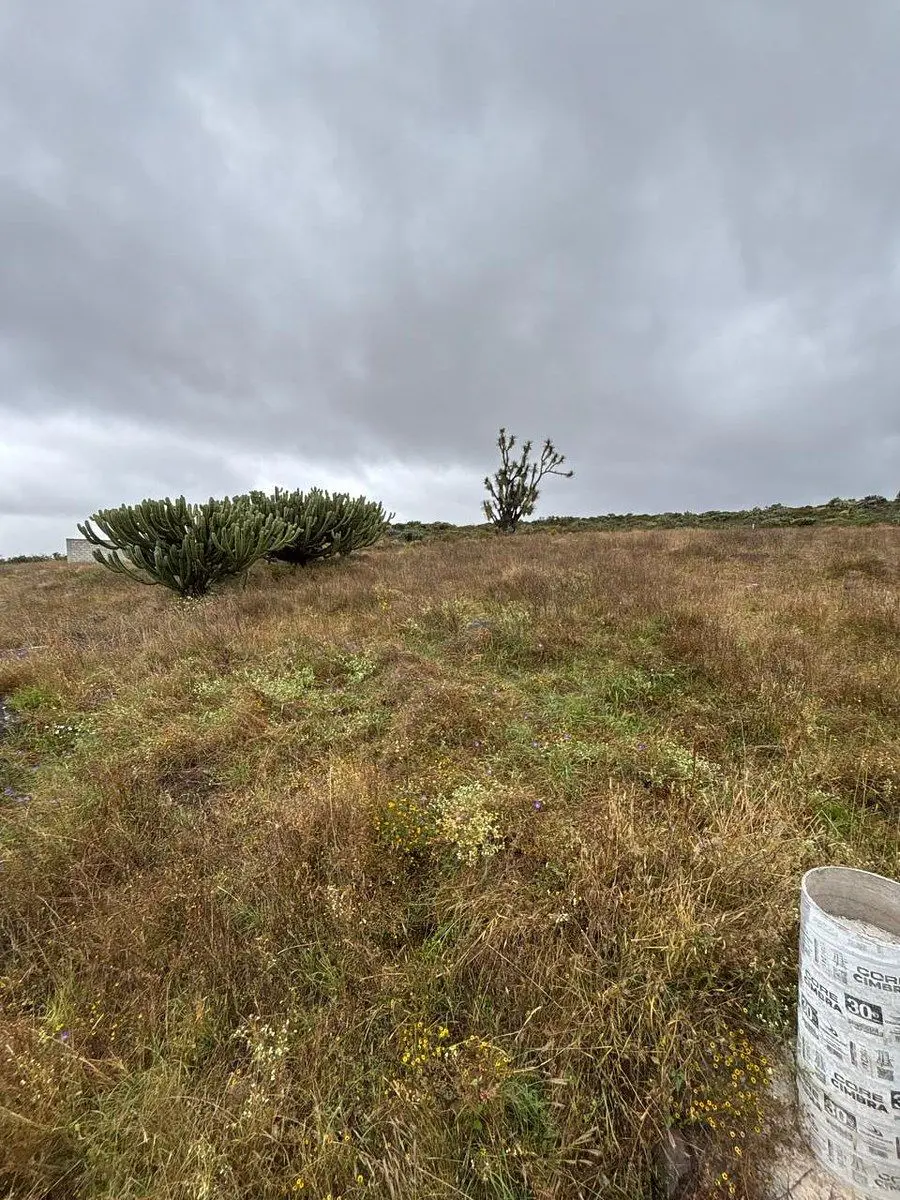Terreno en venta en La Hacienda, Actopan — foto 1 de 6