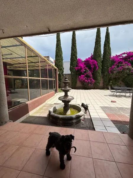 Casa en venta en Arboledas de San Javier, Pachuca de Soto — foto 3 de 21
