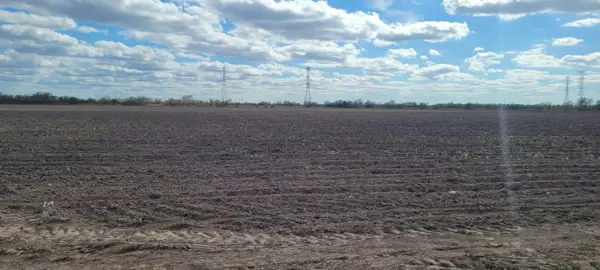 Terreno en venta en El Guerreño, Reynosa — foto 3 de 8