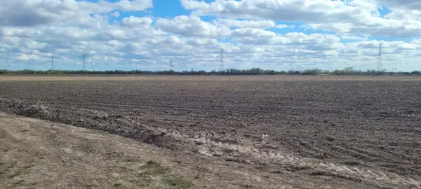 Terreno en venta en El Guerreño, Reynosa — foto 2 de 8