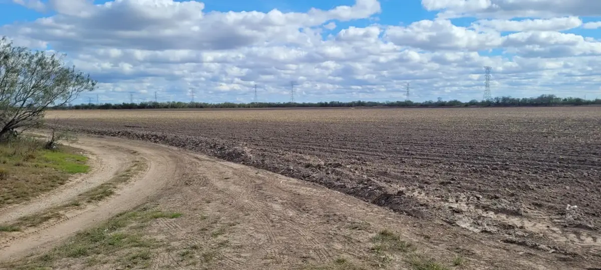 Terreno en venta en El Guerreño, Reynosa — foto 1 de 8