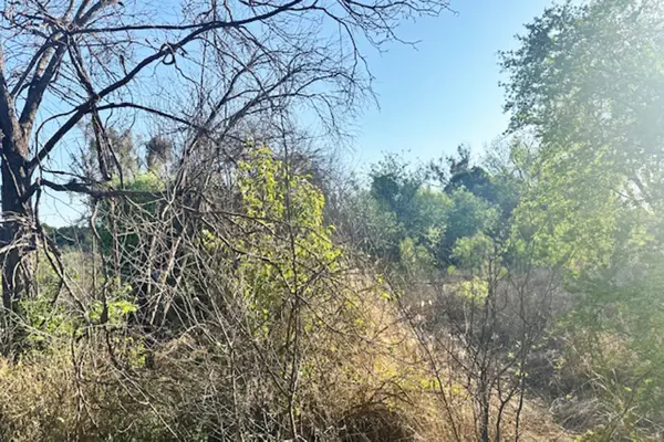 Terreno en venta en Los Gonzalez, Saltillo — foto 2 de 5