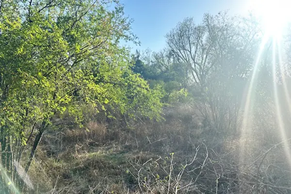 Terreno en venta en Los Gonzalez, Saltillo — foto 3 de 5