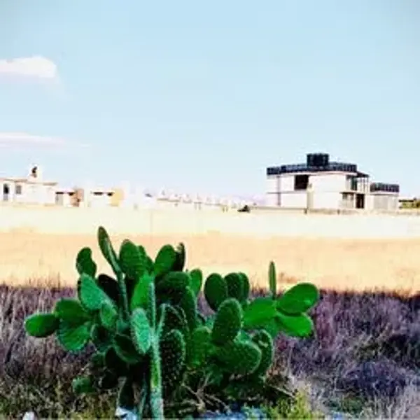 Terreno en venta en Real Toledo, Pachuca de Soto — foto 2 de 2