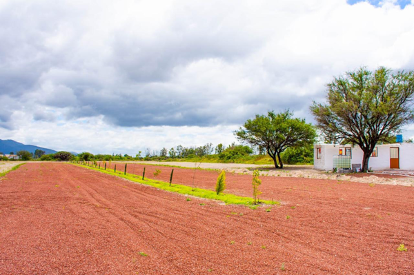 Terreno en venta en La Tortuga, Tequisquiapan — foto 3 de 7