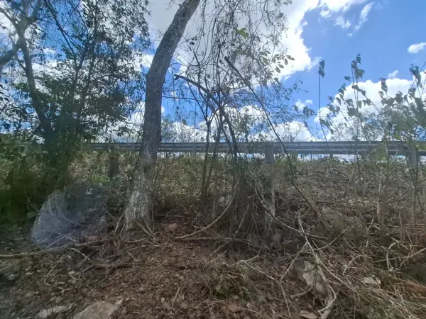 Terreno en venta en Dzitas, Dzitás — foto 2 de 20