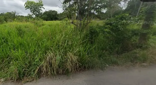 Terreno en renta en Villa Union, Centro — foto 3 de 4