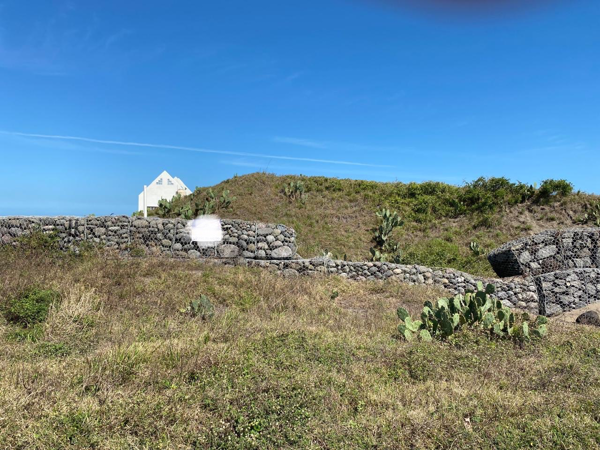 Terreno en venta en Camaronera, Alvarado — foto 3 de 7