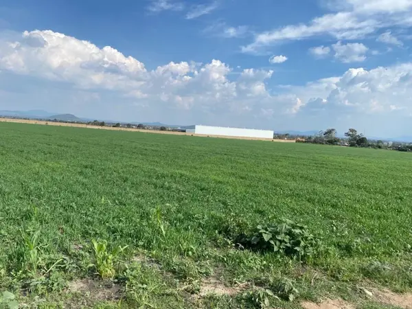 Terreno en venta en El Gavillero de la Trinidad (La Curva), Polotitlán — foto 2 de 16