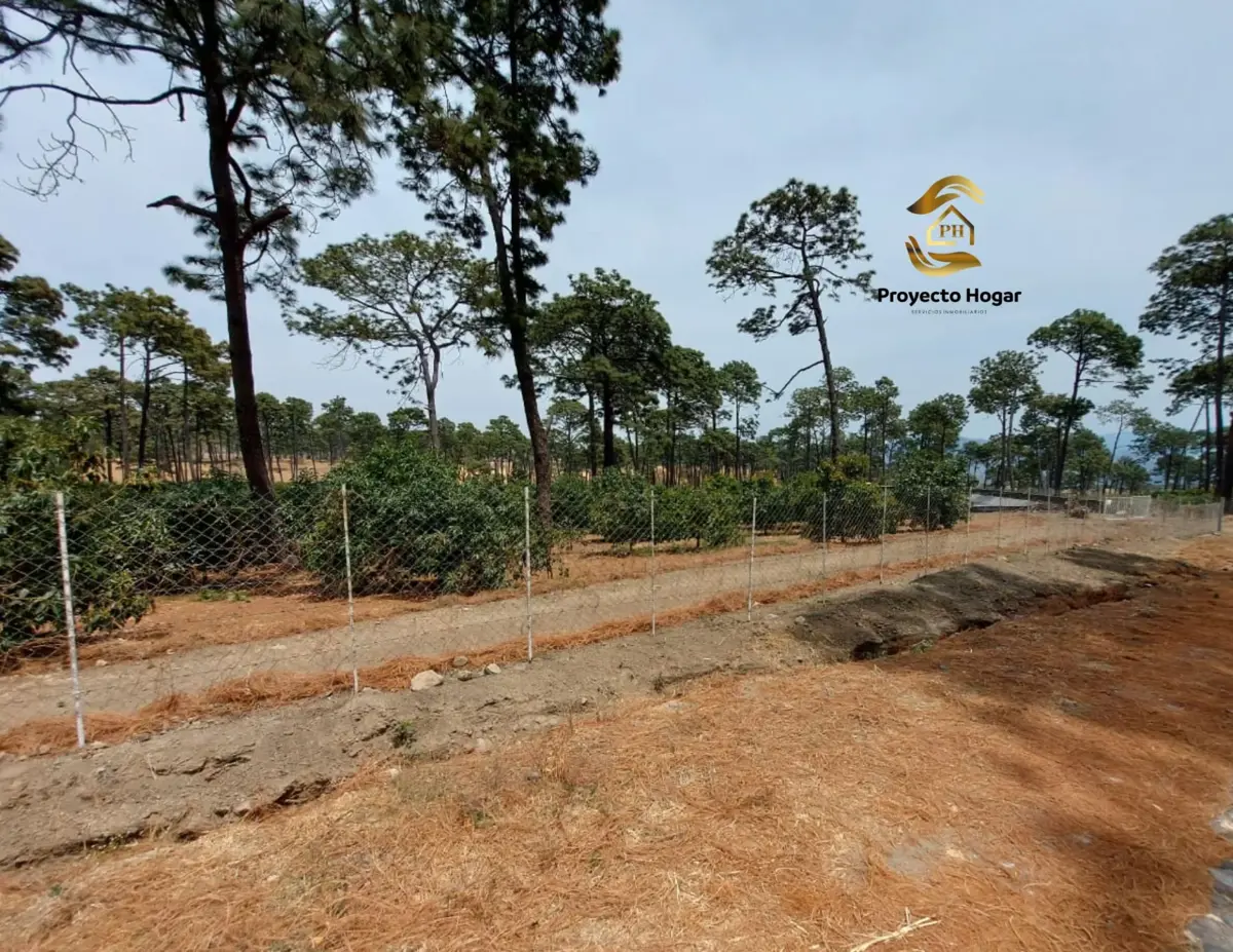Terreno en venta en San Marcos, San Marcos — foto 1 de 8