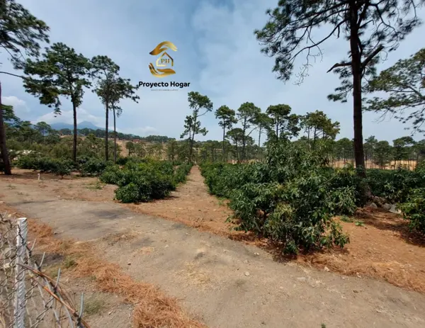 Terreno en venta en San Marcos, San Marcos — foto 3 de 8