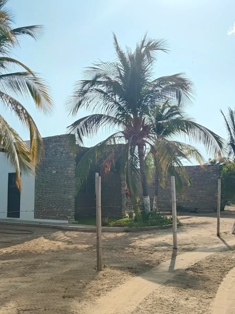 Terreno en venta en Bajos de Chila Centro, San Pedro Mixtepec -Dto. 22 - — foto 1 de 12