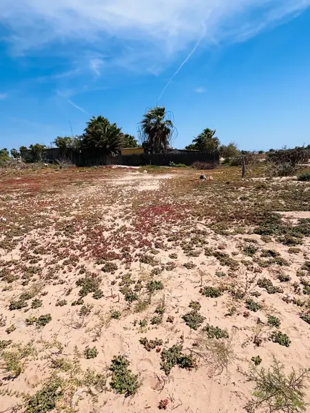 Terreno en venta en San Juanico, Comondú — foto 2 de 4