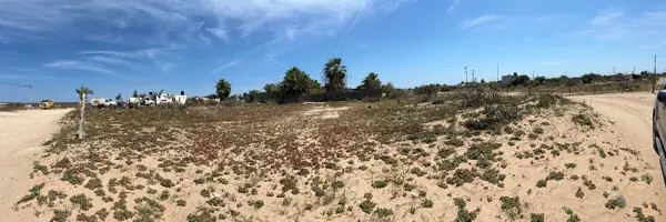 Terreno en venta en San Juanico, Comondú — foto 3 de 4