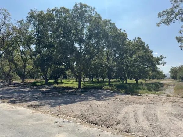 Terreno en venta en Parras, Parras — foto 2 de 15