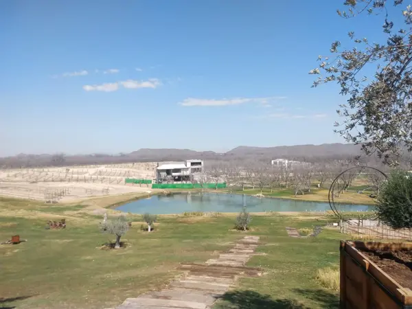 Terreno en venta en Parras, Parras — foto 3 de 15