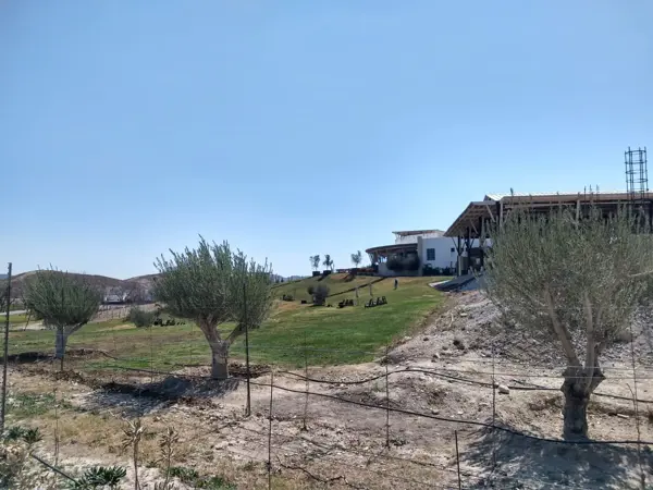 Terreno en venta en Parras, Parras — foto 2 de 15