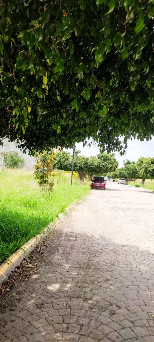 Terreno en venta en 5 Señores, Oaxaca de Juárez — foto 1 de 12