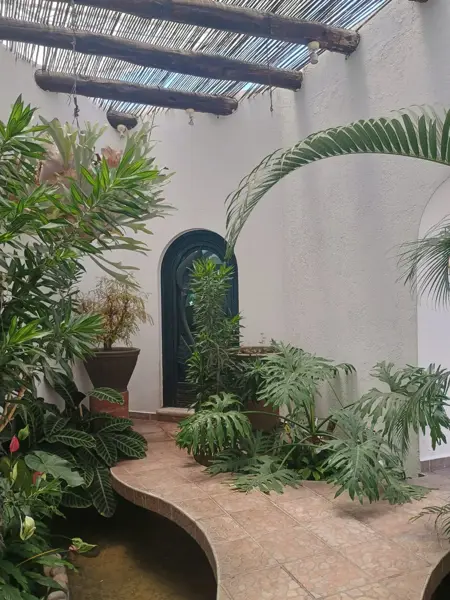 Casa en venta en Bello Horizonte, Cuernavaca — foto 3 de 45