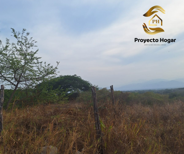 Terreno en venta en El Chivato (Providencia), Villa de Álvarez — foto 3 de 8