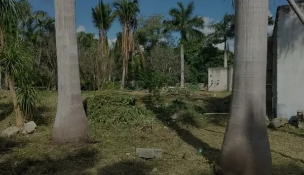 Terreno en venta en X-Cuyum, Conkal — foto 3 de 7