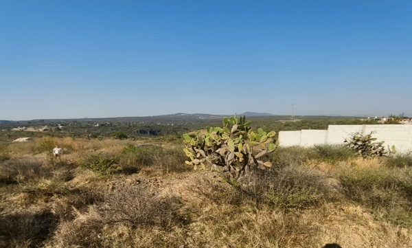 Terreno en venta en Guadalupe de las Peñas, San Juan del Río — foto 3 de 7