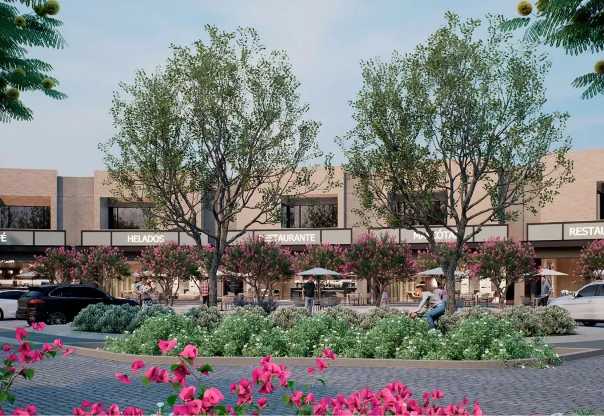 Vista 2 de TERRENOS EN VENTA EN EL FONTANAL RESIDENCIAL, TORREON COAHUILA