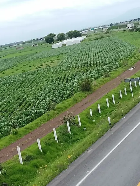 Terreno en venta en Santa Cruz Atizapan, Atizapán — foto 2 de 2