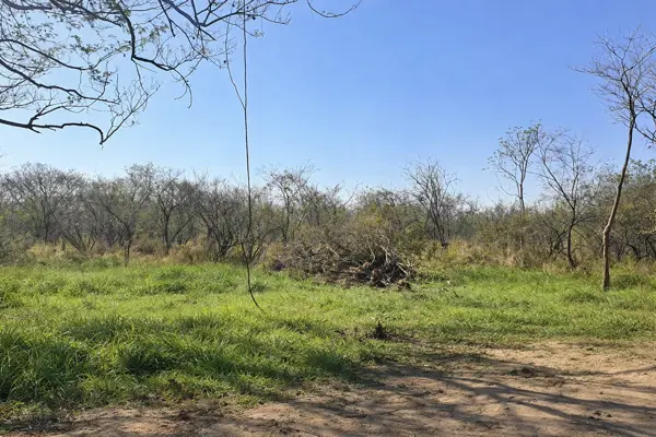 Terreno en venta en Colima Centro, Colima — foto 2 de 5