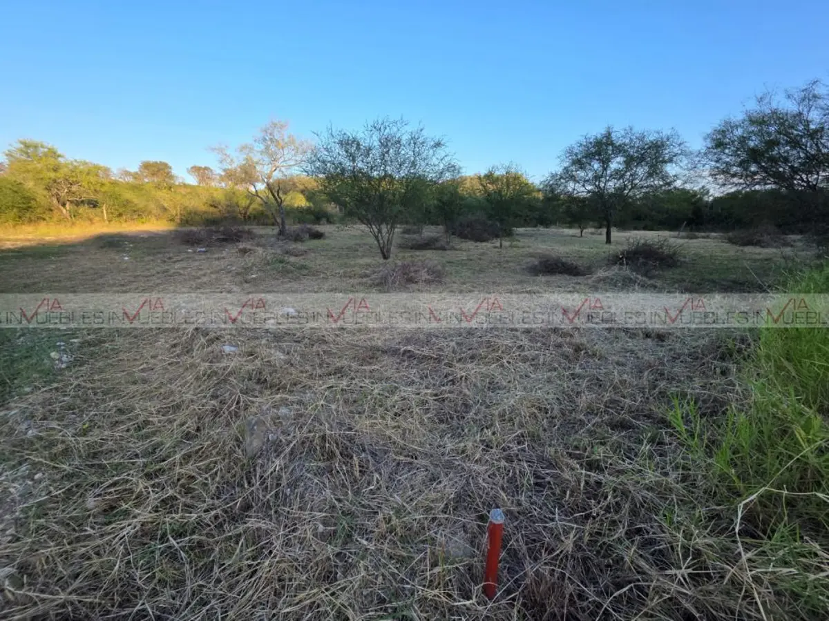 Terreno en venta en Montemorelos Centro, Montemorelos — foto 1 de 8