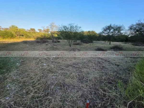 Terreno en venta en Montemorelos Centro, Montemorelos — foto 3 de 8