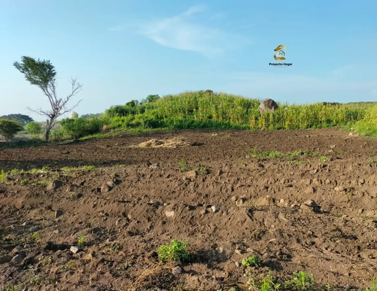 Vista 3 de PARCELA EN VENTA EN CUAUTHEMOC, COLIMA